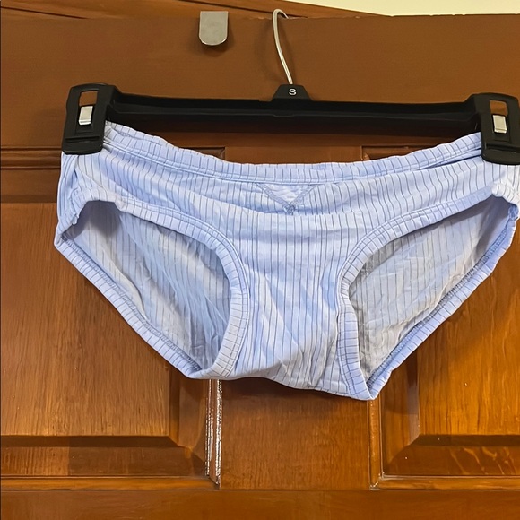 aerie Other - Aerie Light Blue Striped Panties